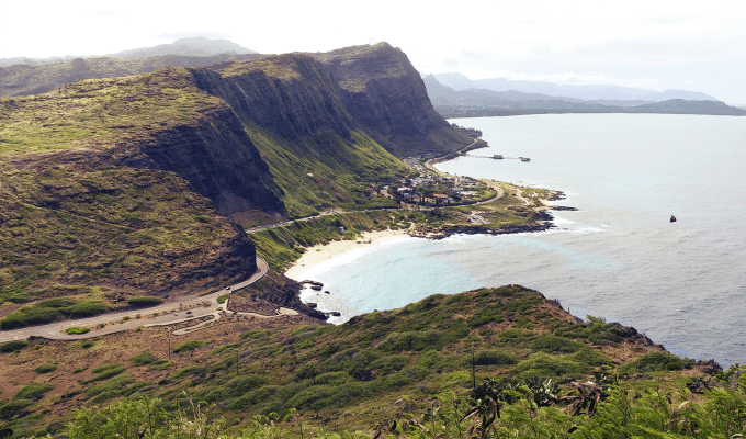 COUR- Stuck in&nbsp;Paradise