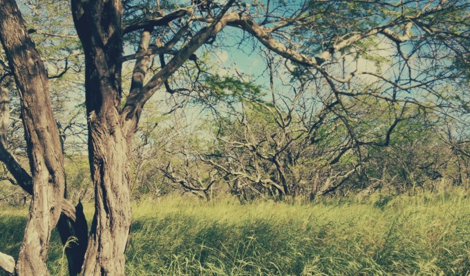 A Rant About Vacation, That Ends with Me as the&nbsp;Villain